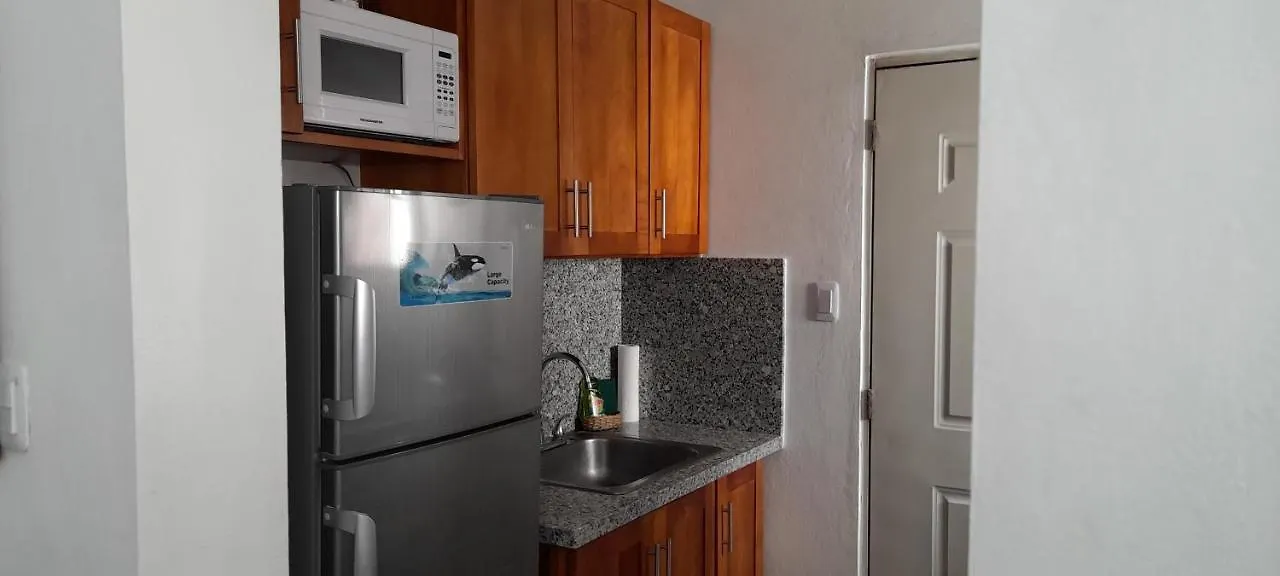 Residencial Palmas De Gurabo Διαμέρισμα Santiago De Los Caballeros 0*,
