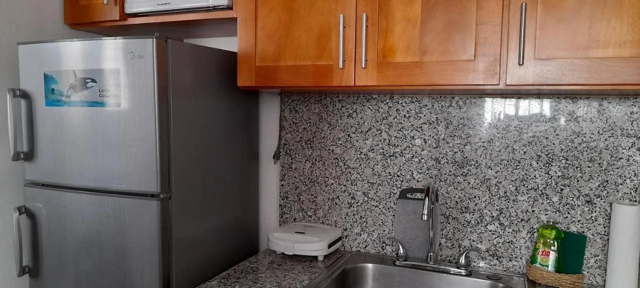 Apartamento Residencial Palmas De Gurabo Santiago De Los Caballeros